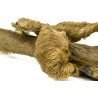 Large Red Deer Legs w/fur