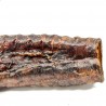 Buffalo Trachea