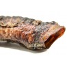 Beef Trachea