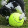 Giant Tennis Ball