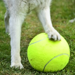 Giant Tennis Ball