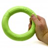 Floating ring toy