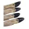 Small Roe Deer Legs w/fur x