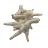 Puffed Chicken Feet (100g)