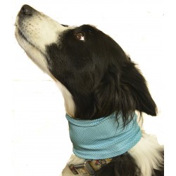 Cooling Dog Bandana (Small,...